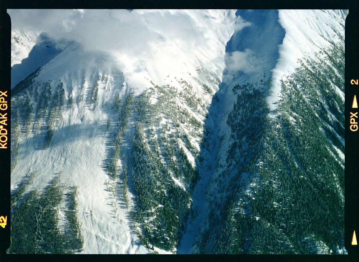 Das Gebiet Raifte oberhalb des Weilers Äbmete bei Münster. Hier ist nur eine kleine Teilfläche des potenziellen Lawinenanrissgebiets verbaut. Die unterhalb der Verbauung angebrochene Lawine hat grossen Flur- und Waldschaden verursacht. Aufnahmerichtung: NW, 25. 02. 1999, 15:30; Titel der Aufnahme: RAIFTE / ABILÖÜB; Goms, Wallis Kameramodell: Expression 12000XL